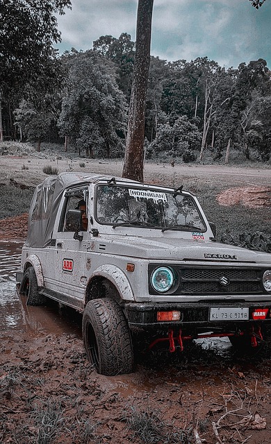 赛事突发情 赛事突发情