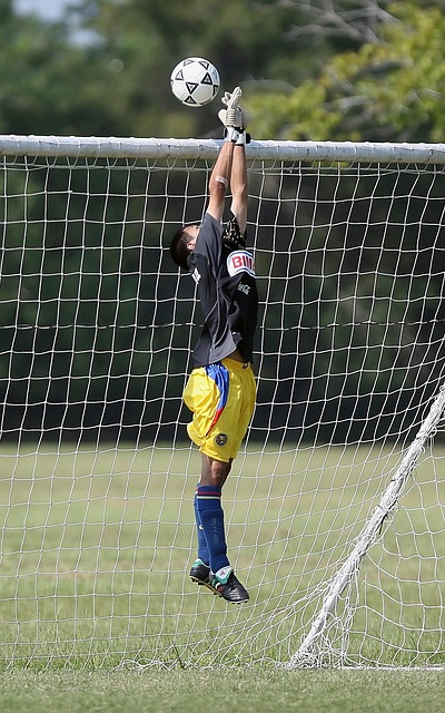 给球迷们交 给球迷们交