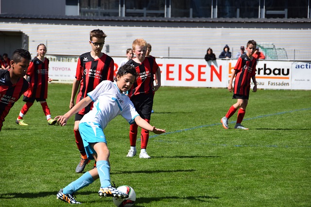 球迷和球队 球迷和球队