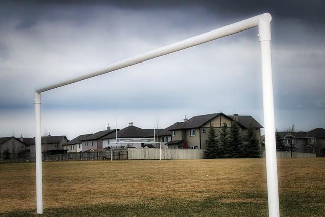 自己獨特的 自己獨特的