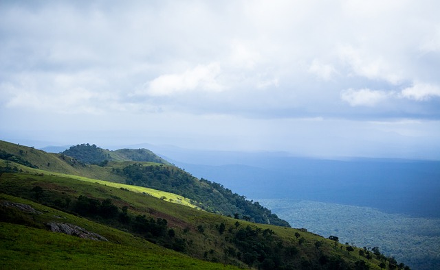 分析人士认 分析人士认