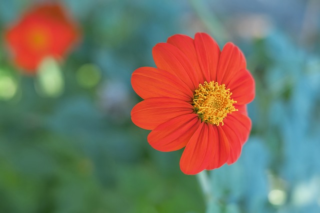 佛掘金這樣 佛掘金這樣