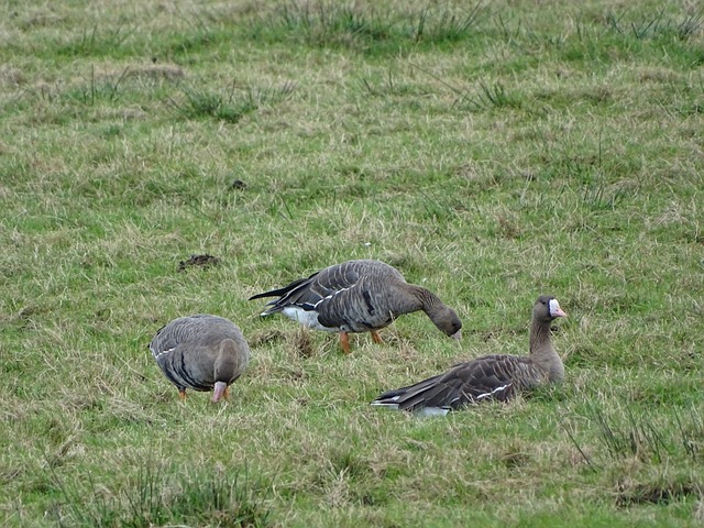 完美的默契 完美的默契