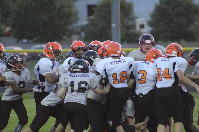 程中所展示 程中所展示