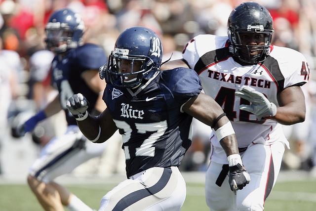 的不可或缺 的不可或缺